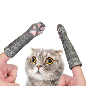 [։ A[`[}NtB[ AN[^c Lbg|[ L̎ 1 wl` Archie McPhee Accoutrements L ˂ lR  tBK[pybg pybg L