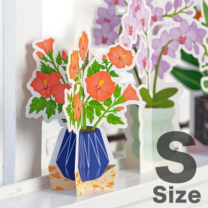 カラテア 花の人気商品 通販 価格比較 価格 Com