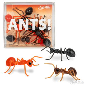 アーチーマクフィー アクータメンツ アンツ フィギュア 6個セット 置物 オブジェ 模型 ありアリ 蟻 ANT おしゃれ かわいい おもしろ プレゼント ギフト プチギフト