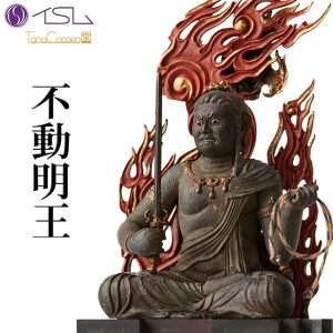 CX s ӂǂ݂傤 tc3526 CS gtanacocoro h  tBMA ~j`A MORITA