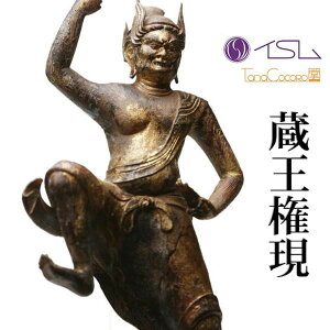 CS TanaCOCORO[]  񂰂 CX Ȃ  tBMA ~j`A tc3515