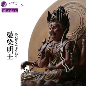 CS  ݂傤 003031CX Standard X^_[h  tBMA CeA