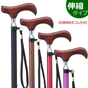 ypStz EV[Y Lk^Cv(E201A`204A) XebL  PCzXsA n LkXebL