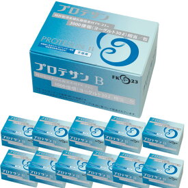 12箱セット プロテサンB 1.0g×31包 FK-23 FK23 protesun ニチニチ製薬 乳酸菌含有食品 サプリメント ニチニチ製薬 1ケース 1ダース まとめ買い