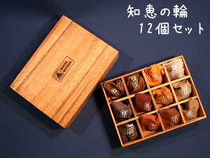 bNX[V mb̗փZbg 12 ؐBOXt ROCKS MOTION   ]g q m