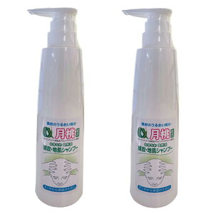 �y2�{�Z�b�g�z���{���� �����Ȃ펩�R�h ����E�n���V�����v�[ 500ml �i��itawari�j ipn
