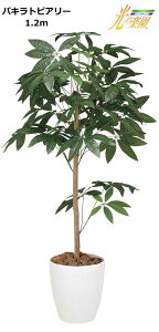 ̊y ϗtA pLgsA[ 1.2m 193P185 G} lH  tFCNO[ s