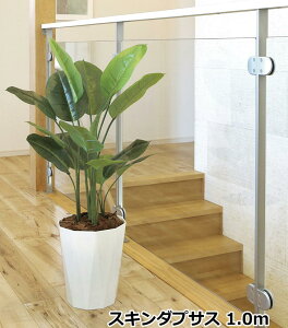 ̊y XL_vTX 1.0m 2240A160 G} lHϗtA { rO fnEX tFCNO[ s