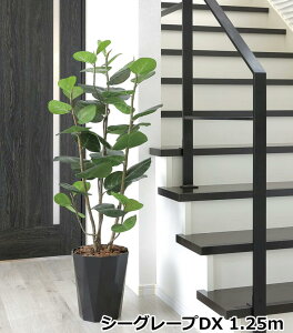 ̊y V[O[vDX 1.25m 2243A240 G} lHϗtA { rO fnEX tFCNO[ s