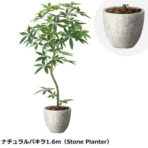 ̊y i`pL 1.6m 2400P580 Xg[v^[V[Y KX@ۋZg G} lHϗtA  { tFCNO[  X s