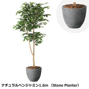 ̊y i`xW~1.6m 2401A500 Xg[v^[V[Y KX@ۋZg G} lHϗtA  { tFCNO[  X s