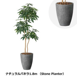 ̊y i`pL 1.8m 2404P585 Xg[v^[V[Y KX@ۋZg G} lHϗtA  { tFCNO[  X s