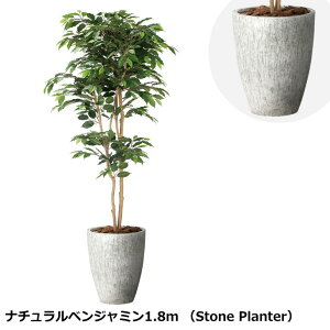 ̊y i`xW~1.8m 2405A650 Xg[v^[V[Y KX@ۋZg G} lHϗtA  { tFCNO[  X s