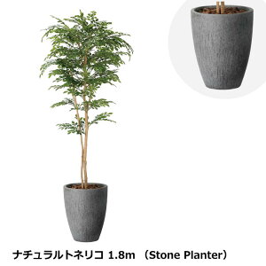 ̊y i`glR 1.8m 2407A720 Xg[v^[V[Y KX@ۋZg G} lHϗtA  { tFCNO[  X s