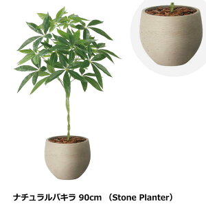 ̊y i`pL 90cm 2408A215 Xg[v^[V[Y KX@ۋZg G} lHϗtA  { tFCNO[ s