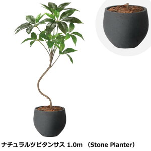 ̊y i`cs^TX 1.0m 2409A190 Xg[v^[V[Y KX@ۋZg G} lHϗtA  { tFCNO[  X s