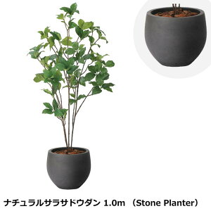 ̊y i`TThE_ 1.0m 2411A215 Xg[v^[V[Y KX@ۋZg G} lHϗtA  { tFCNO[  X s