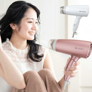 �[���P�� �d���g�ጸ �w�A�[�h���C���[ ���ԊO�� �ቷ�� �s���N/�z���C�g ZD-750P/ZD-750W