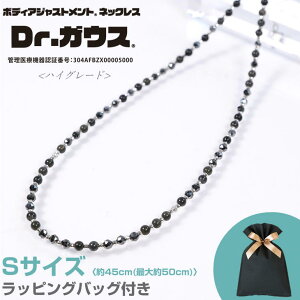 Dr.KEX ClbNX nCO[h STCY 45cm K18EK10WGgp bsOobOt [J[1Nۏ ǗË@ hN^[KEX DG-H-S