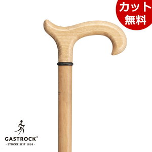 hCc 1{ KXgbN Gastrock GA-80 GA80 ui { ECO DERBYV[Y Y j am Gastrock XebL ɗD