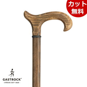 hCc 1{ KXgbN Gastrock GA-81 GA81 ui { ECO DERBYV[Y Y j am Gastrock XebL ɗD