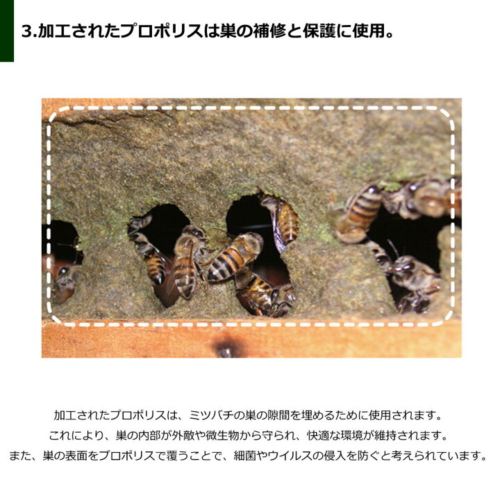 楽天市場】アマゾンフード アレクリン系 プロポリス原塊200g ブラジル  