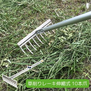 SgE 背[LLk 10{ 870508 { G 蓹 djbPbLdグ