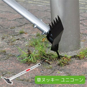 SgE kbL[ jR[ 870509 { G 蓹 ڒn RN?g 