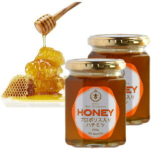 Bee Treasure v|Xn`~c HONEY 2ZbgA[`Y݂͂ pP[L N I̕{