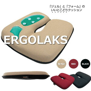 [Lg[fBO GSNX vX nCubhNbV WF+tH[ h  fXN[N ER09300