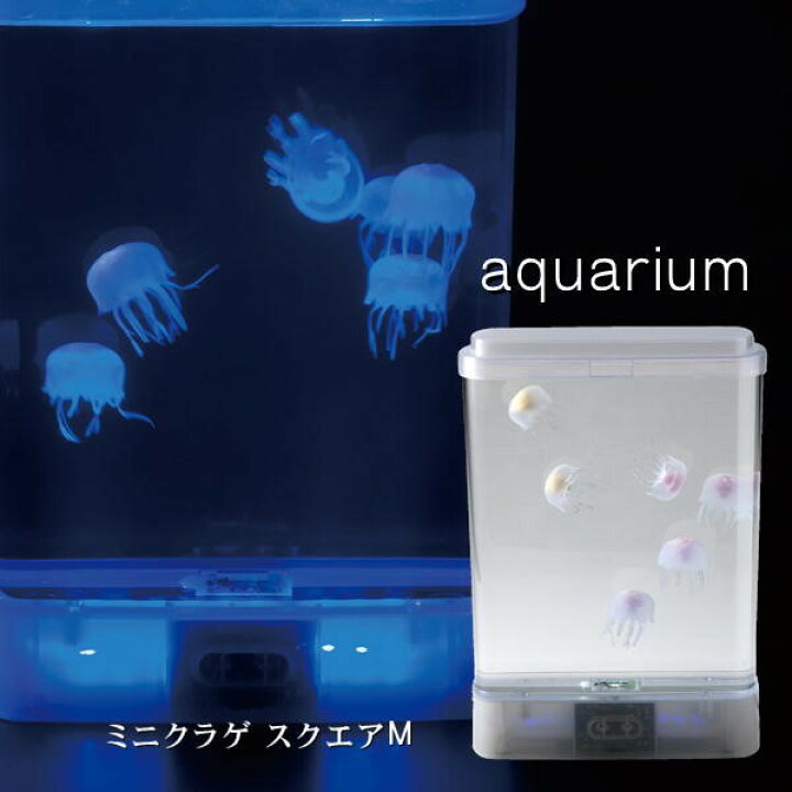 楽天市場 お得なクーポン配布中 アクアリウム Aquarium ミニクラゲ スクエアm イシグロ インテリア 人工 癒し シリコン ジェリーフィッシュ 水槽 Antel