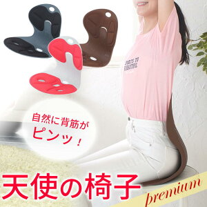 A Vg̈֎q v~A premium o[WAbvf p T|[g ֎q  fXN[N Ճ`FA DCT