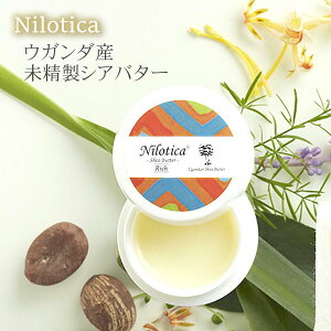 VAo^[  jeBJ VAo^[b` 27g SgێN[ Nilotica v[ XLPA  EK_YVAo^[100z