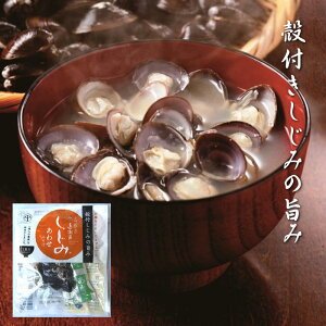 ʋl ΎYݎgp kt 킹X`×15H X gg  ݏ`