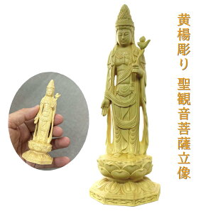 k萹ωF t̍i ؒ|p ̂ЂTCY J^Oʔ̌fڕi