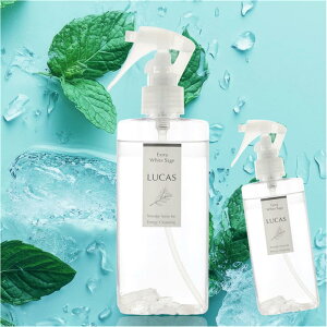 K̔X JX LUCAS GNXgN[ Xv[ 2{Zbg g[ ⊴Xv[ u~gzCgZ[W̍