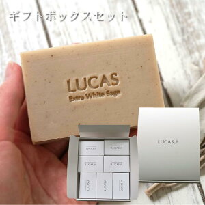 K̔X LUCAS zCgZ[W Sg򉻗p ΂ Ō`΂ 14 Mtg{bNX JX GNXgzCgZ[W Sg򉻗p΂