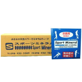 【お得な業務用1ケース】 Sports Mineral スポーツミネラル 徳用タイプ 90包入×10箱セット HG-SPM90