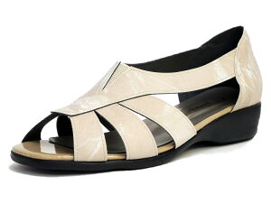 AC A~GRZvg I[vgDT_ fB[X pvX TChI[v  { XbgS XNGA [h tbg\[ y ItBX  w d 3ey