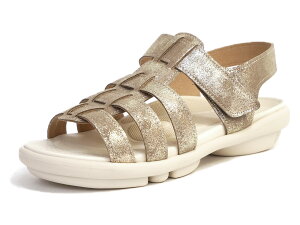 Qb^ cH T_ OJT_ fB[X { obNxg ʃt@Xi[ 2ball tbg I[vgD y Vo[ S[h RtH[g  ɃtBbg h 3ey