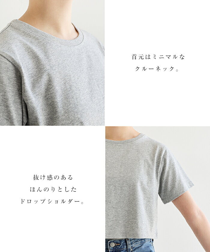 汗染み防止 ショート丈 半袖 Tシャツ レディース トップス 汗染み防止Tシャツ 半袖Tシャツ ミニTシャツ カットソー 汗じみ防止 汗ジミ 汗じみ 機能性 インナー 体型カバー 二の腕カバー コットン 短丈 無地 ベーシック トレンド 夏服 M L 真夏 春夏 春 夏 秋 - メイン画像 6