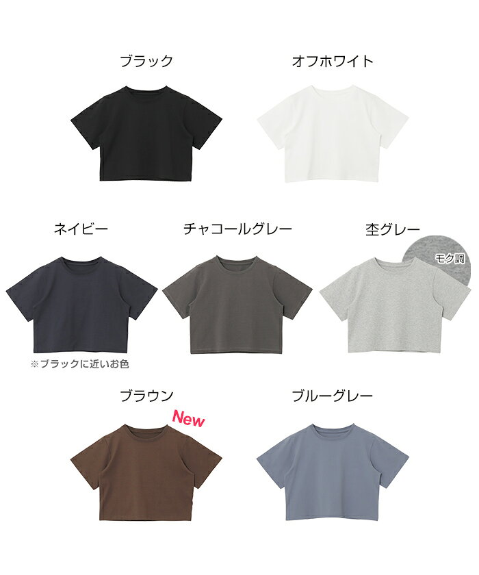 汗染み防止 ショート丈 半袖 Tシャツ レディース トップス 汗染み防止Tシャツ 半袖Tシャツ ミニTシャツ カットソー 汗じみ防止 汗ジミ 汗じみ 機能性 インナー 体型カバー 二の腕カバー コットン 短丈 無地 ベーシック トレンド 夏服 M L 真夏 春夏 春 夏 秋 - メイン画像 3
