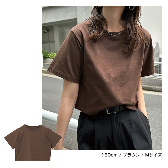 汗染み防止 ショート丈 半袖 Tシャツ レディース トップス 汗染み防止Tシャツ 半袖Tシャツ ミニTシャツ カットソー 汗じみ防止 汗ジミ 汗じみ 機能性 インナー 体型カバー 二の腕カバー コットン 短丈 無地 ベーシック トレンド 夏服 M L 真夏 春夏 春 夏 秋 - メイン画像 8