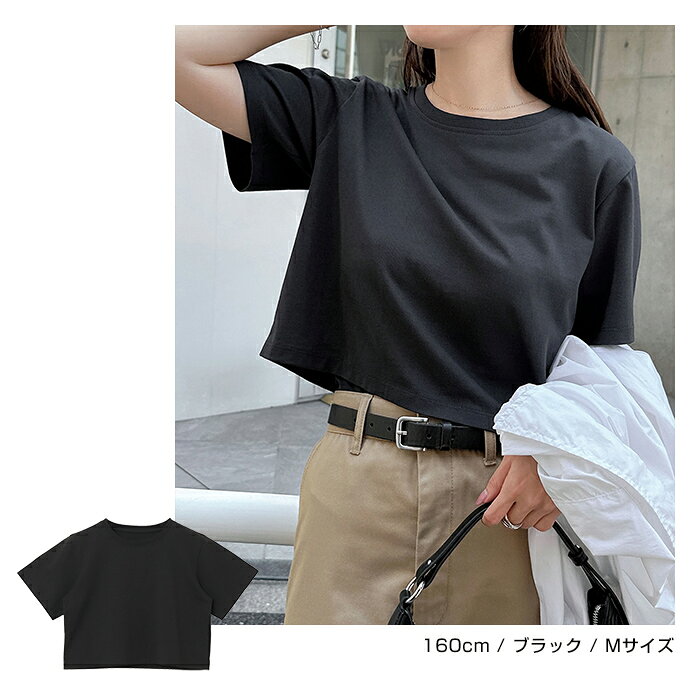 汗染み防止 ショート丈 半袖 Tシャツ レディース トップス 汗染み防止Tシャツ 半袖Tシャツ ミニTシャツ カットソー 汗じみ防止 汗ジミ 汗じみ 機能性 インナー 体型カバー 二の腕カバー コットン 短丈 無地 ベーシック トレンド 夏服 M L 真夏 春夏 春 夏 秋 - メイン画像 12