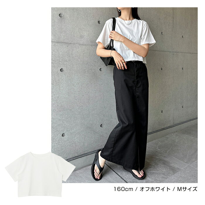 汗染み防止 ショート丈 半袖 Tシャツ レディース トップス 汗染み防止Tシャツ 半袖Tシャツ ミニTシャツ カットソー 汗じみ防止 汗ジミ 汗じみ 機能性 インナー 体型カバー 二の腕カバー コットン 短丈 無地 ベーシック トレンド 夏服 M L 真夏 春夏 春 夏 秋 - メイン画像 11