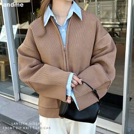 カーディガン ノーカラー ニット ジャケット レディース ノーカラージャケット ウールコート ブルゾン ジャンパー トップス アウター 羽織り オーバーサイズ 体型カバー ゆったり ジップ 無地 ボーダー きれいめ オフィス カジュアル 春服 秋服 冬服 春夏 秋冬 春 秋 冬