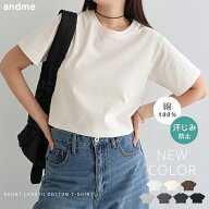 汗染み防止 ショート丈 半袖 Tシャツ レディース トップス 汗染み防止Tシャツ 半袖Tシャツ ミニTシャツ …