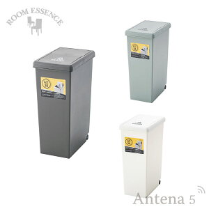 Room essence sS3FtXChy[30L LFS-762-yS~ | {@XChW Lb` _Xg{bNX@ ӂtz