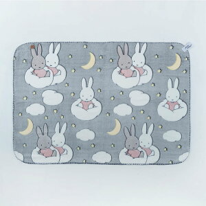 sS2FtHEMING'S DB/t@j[uPbgM (Dick Bruna)yw~OX fUCG HD \t@ fXN[N rO AEghA Lv Ԓ PAQUET ~ Dick Bruna ӂӂ ʂʂz