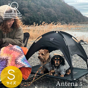 sS2Ft5050WORKSHOP Aj}eg STCY ANML TENT ybgpeg 5050PET ywithPET fUCG Lv AEghA  hbOeg Ck  ܂肽 ܏ ybgpRbgz